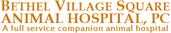 Bethel Village Square Animal Hospital Logo